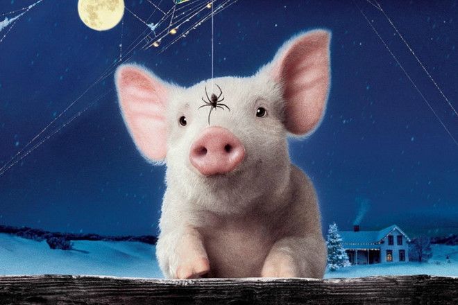 Charlotte và Wilbur - Hình ảnh 2