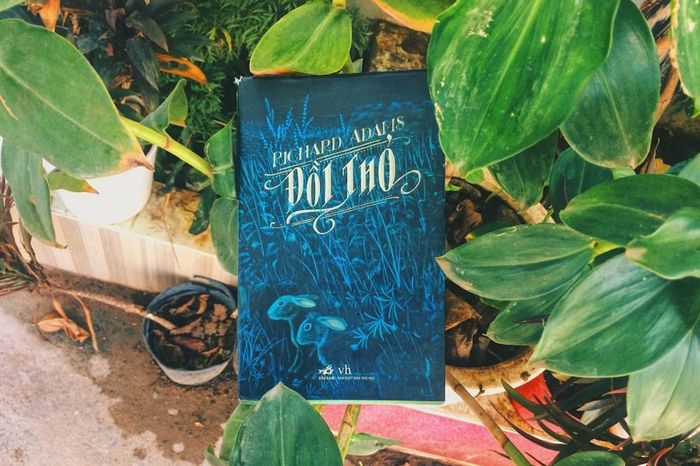 Đi Tìm Lẽ Sống hình ảnh 2