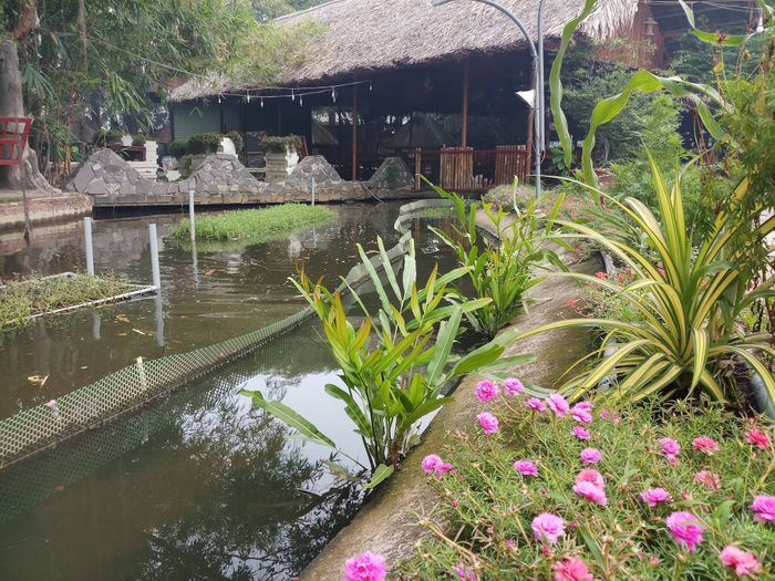 Hình ảnh Nhà hàng Ẩm Thực Cánh Đồng Hoang 3