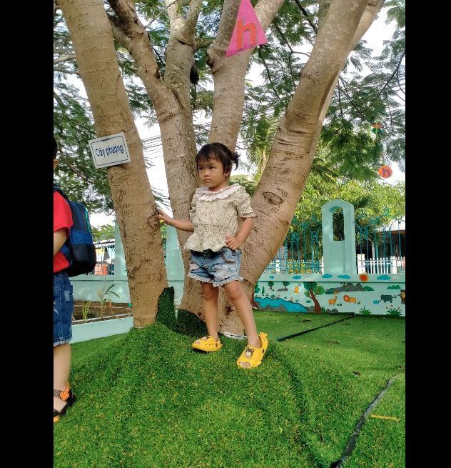 Hình ảnh Trường Mẫu Giáo Lê Chánh 2