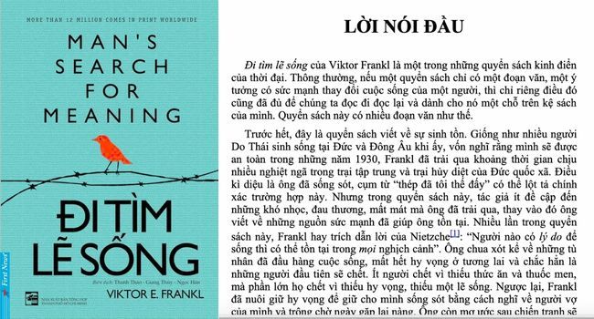 Tìm Kiếm Ý Nghĩa Cuộc Sống hình ảnh 1