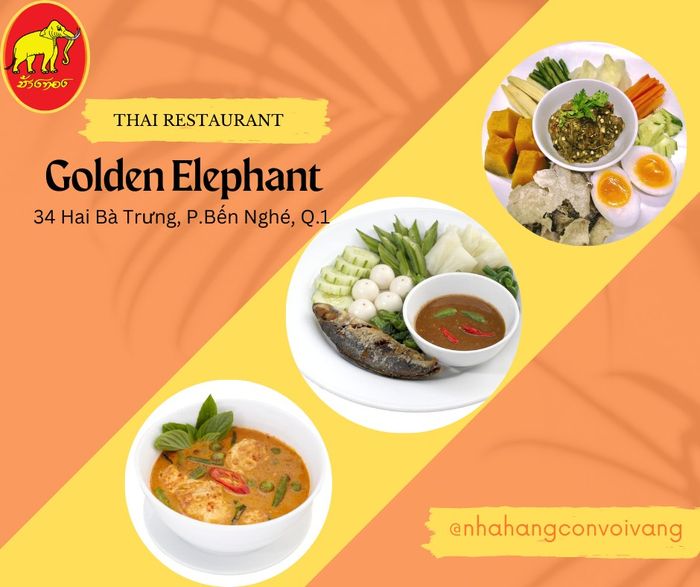 Hình ảnh 1 của Nhà Hàng Con Voi Vàng