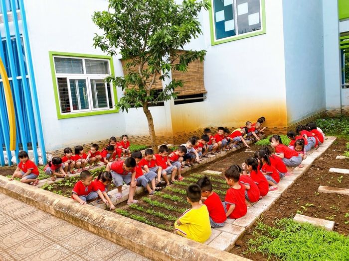 Hình ảnh Trường Mầm Non 2-9 1