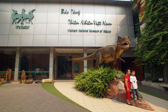 Hình ảnh 2 của Bảo tàng Thiên nhiên Việt Nam