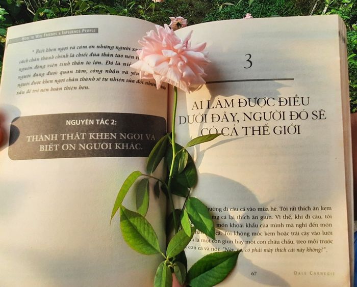 Hình ảnh Đắc Nhân Tâm 2