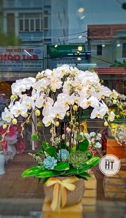Hình ảnh 1 của Hoa Tươi HT