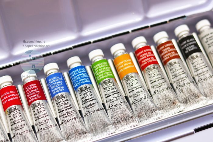 Winsor & Newton Professional hình 1