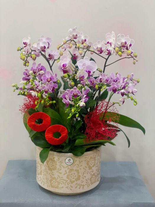 Ảnh của Bao Anh Flowers & Fruits