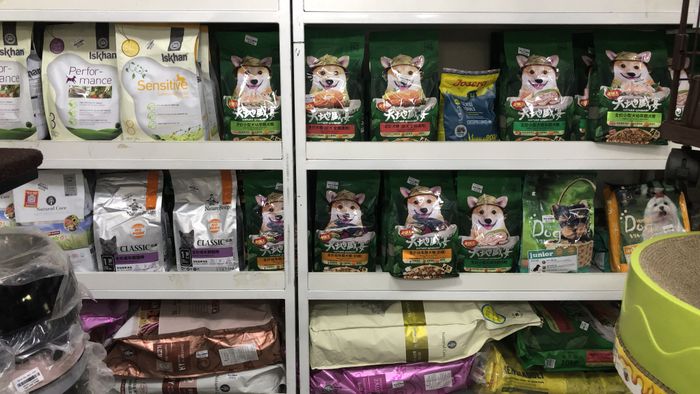 Hình ảnh cửa hàng J & Pet Shop Spa - 2