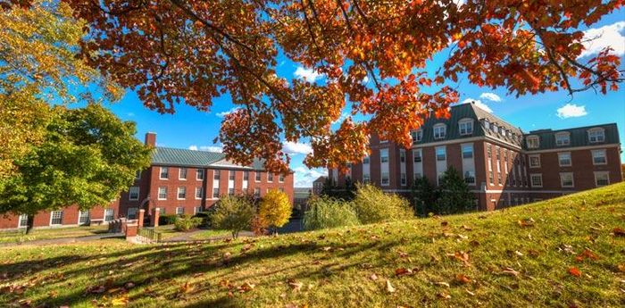 Hình minh họa (Nguồn từ internet) ảnh 1