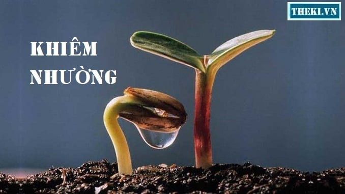 Hình minh họa (Nguồn từ internet) - ảnh 1