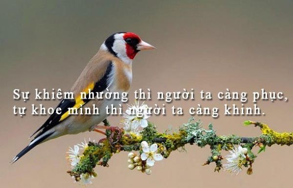 Hình minh họa (Nguồn internet) ảnh 1