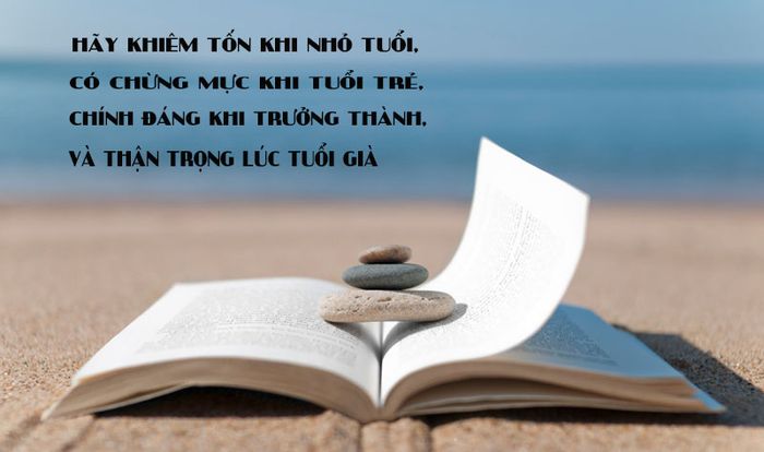 Hình minh họa (Nguồn từ internet) - ảnh 1