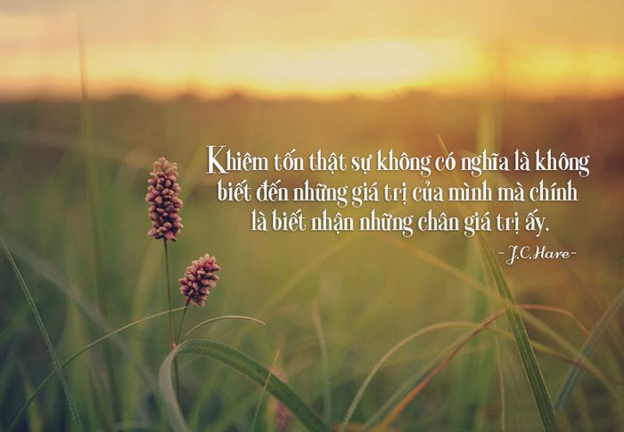 Hình minh họa (Nguồn internet) ảnh 1