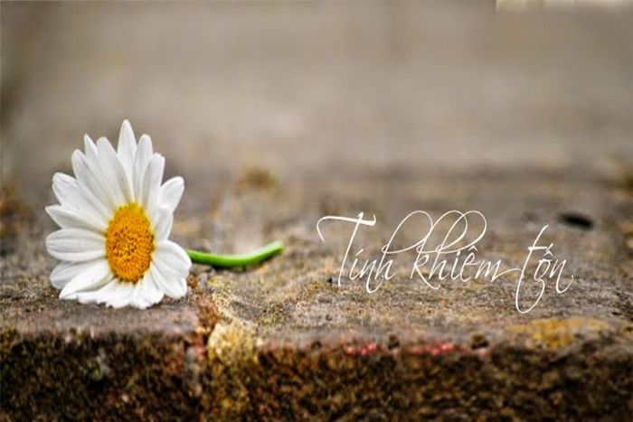 Hình minh họa (Nguồn từ internet) - ảnh 1