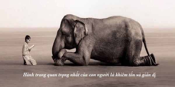 Hình minh họa (Nguồn internet) ảnh 1