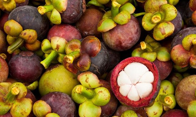 Măng Cụt Chợ Lách ảnh 2