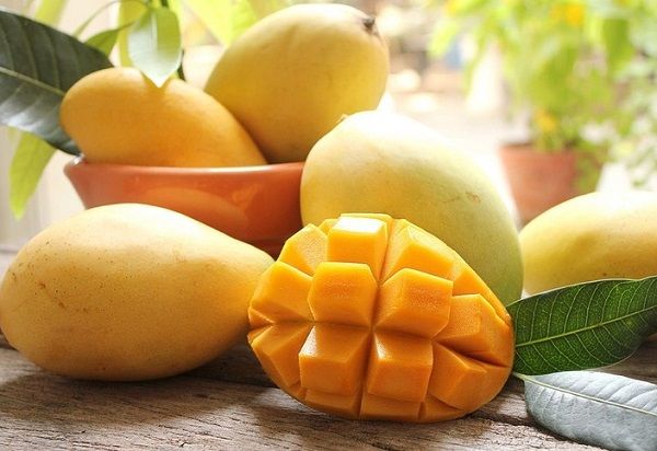 Xoài Cát Hòa Lộc ảnh 2