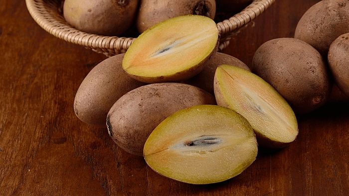 Hồng Xiêm Mặc Bắc - Sapochê hình 1