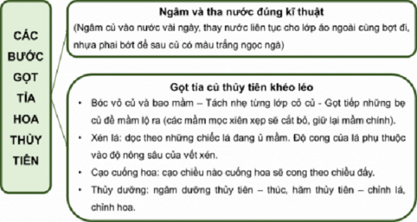 Hình ảnh minh họa (Nguồn từ internet) hình 1