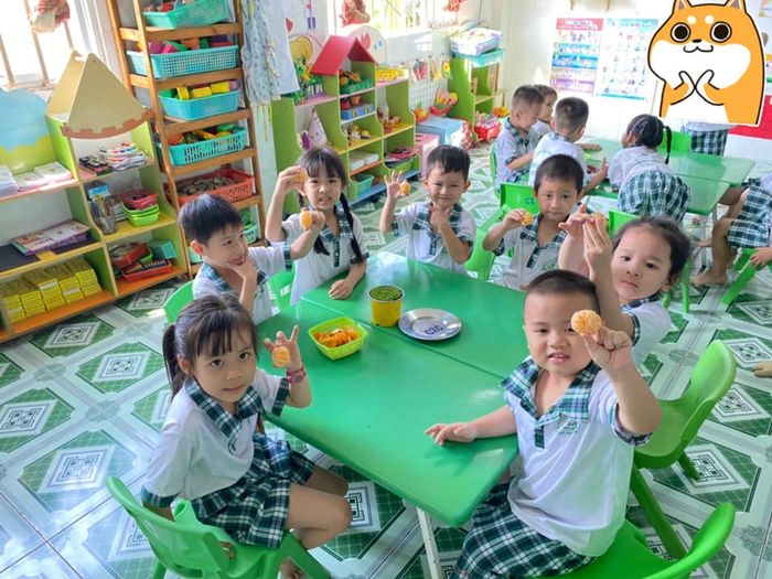 Hình ảnh Trường Mầm Non Việt Mỹ - Montessori 1