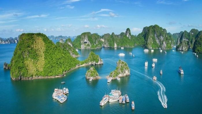 Hình ảnh minh họa (Nguồn từ internet) hình 1