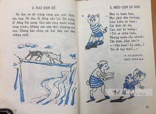 Ảnh mèo con đi học