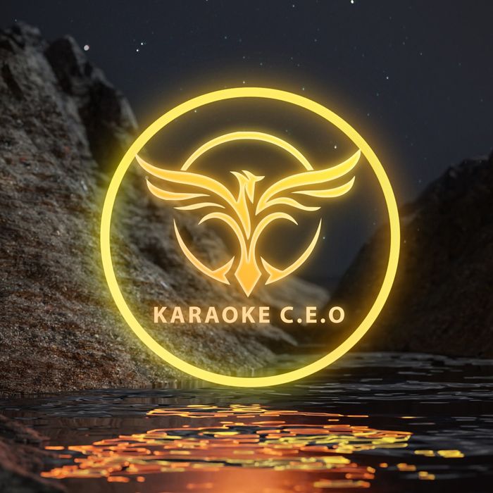 Hình Ảnh Karaoke CEO