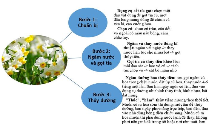Hình minh họa (Nguồn: Internet) - Hình 1
