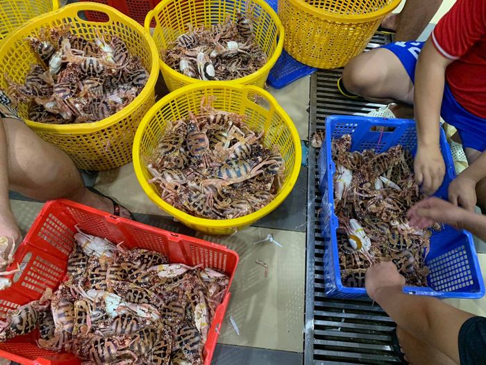 Vựa Cua Đăng Quân hình 2