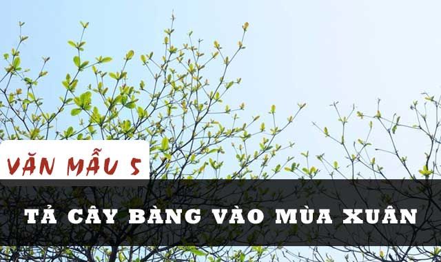 Ảnh minh họa (Nguồn internet) ảnh 1