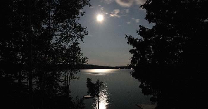 Ảnh minh họa (Nguồn từ internet) hình 1