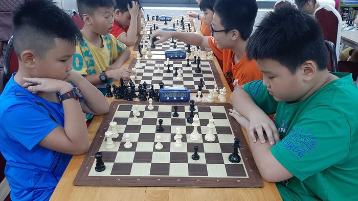 Trung Tâm Huấn Luyện Cờ Quốc Tế hình 1