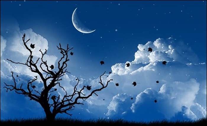 Ảnh minh họa (Nguồn từ internet) hình 1