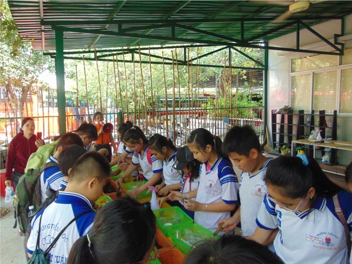 Hình ảnh 3 của Trường Tiểu học Nguyễn Viết Xuân