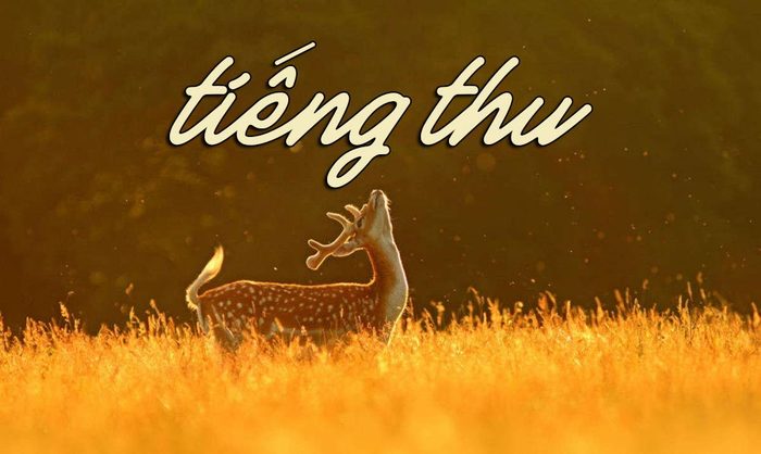 Hình ảnh minh họa (Nguồn từ internet) - ảnh 1