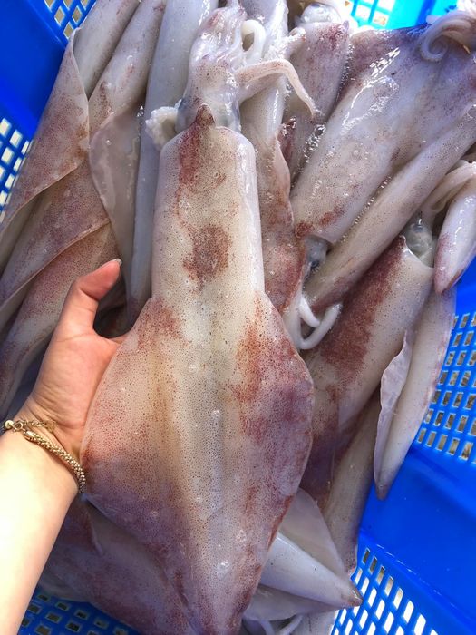 Hình ảnh 1 của Thế Giới Hải Sản Cần Thơ
