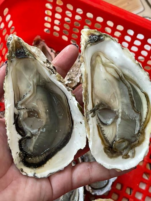 Ảnh của Hải Sản Định Cua 2