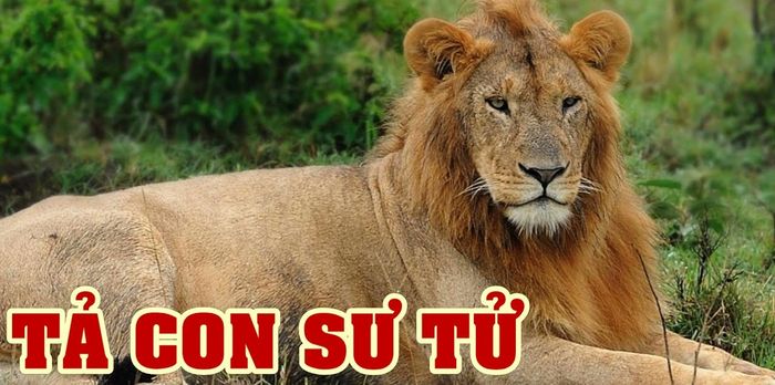 Minh Họa (Nguồn Internet) Số 1