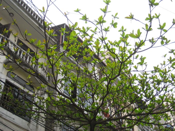 Hình minh họa (Nguồn từ internet) hình 1