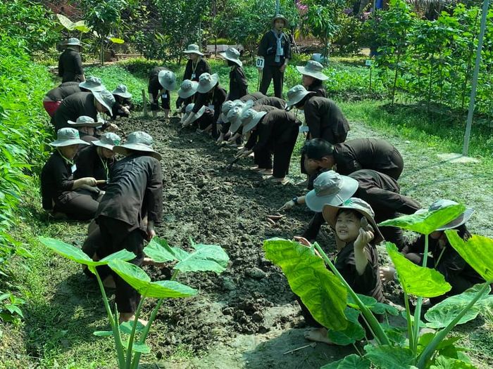 Hình ảnh Trường Tiểu học Minh Đạo Quận 5 - 2