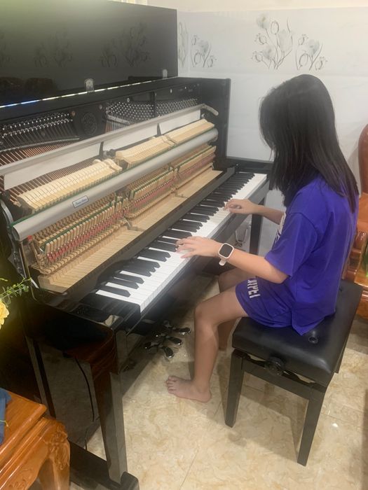 Hình ảnh Việt Thanh Music số 2
