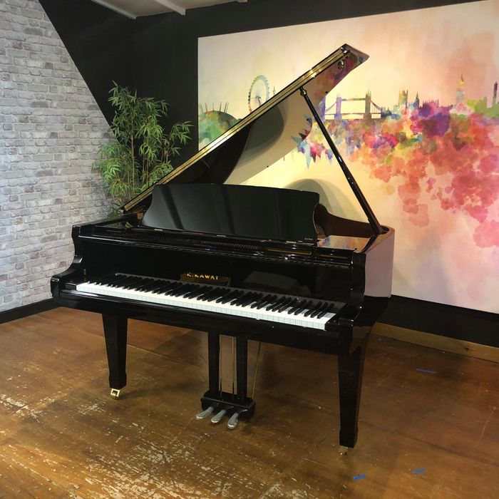 Hình ảnh Việt Thanh Music số 1