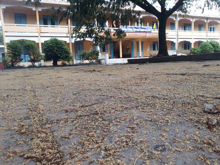 Hình ảnh Trường THPT Kế Sách 2