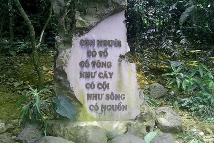 Hình minh họa (Nguồn internet) ảnh 1