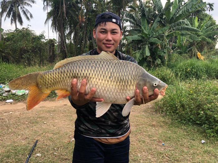 Hồ Câu Hai Mo - Hình 2