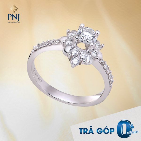 Hình ảnh Công ty cổ phần Vàng bạc đá quý Phú Nhuận (PNJ) 2