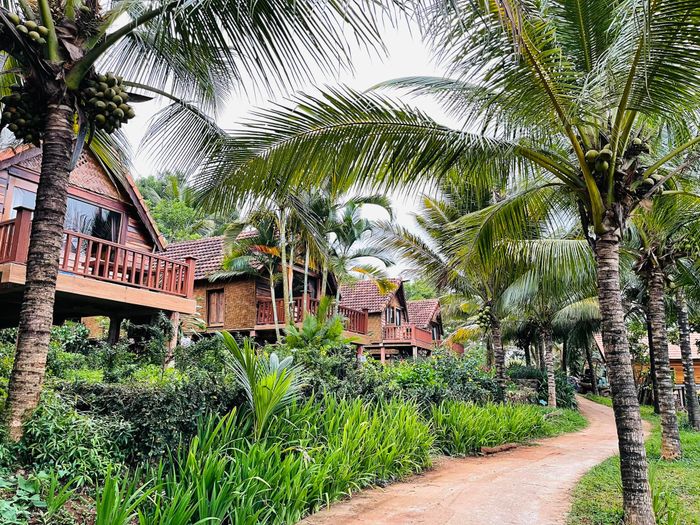 Hình ảnh Khu Du Lịch Sinh Thái KoTam 1