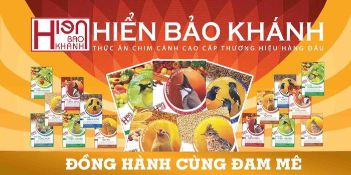 Hiển Bảo Khánh - Hình 1