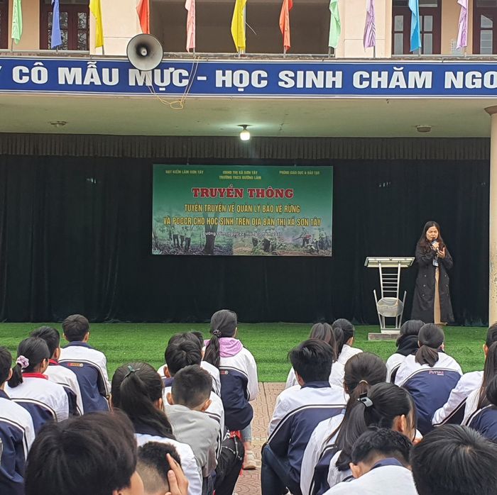 Hình Ảnh Trường Trung Học Cơ Sở Đường Lâm - 3
